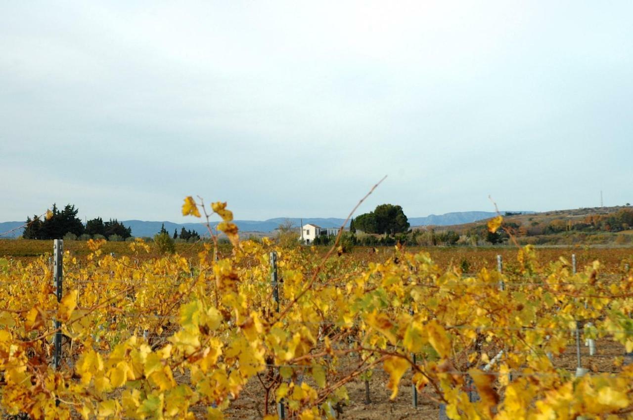 Le Petit Viala Βίλα Capestang Εξωτερικό φωτογραφία